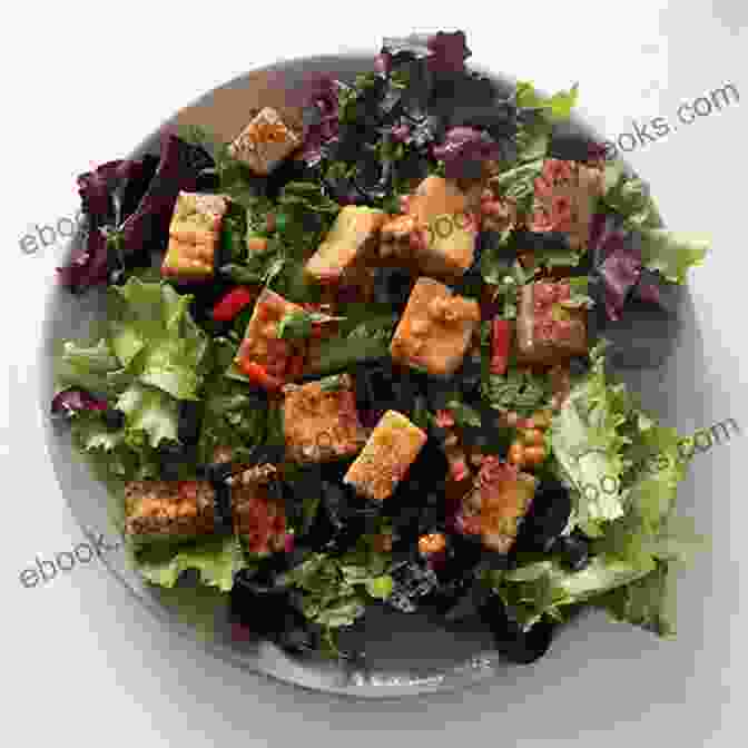 Close Up Of A Colorful Salad With Grilled Tofu Plant Based Cookbook For Beginners: The Bible Of Vegan Vegetarian Cooking 1500 Days Of Tasty And Easy To Cook Recipes Discover How To Make Delicious This Healthy Lifestyle FULL COLOR EDITION