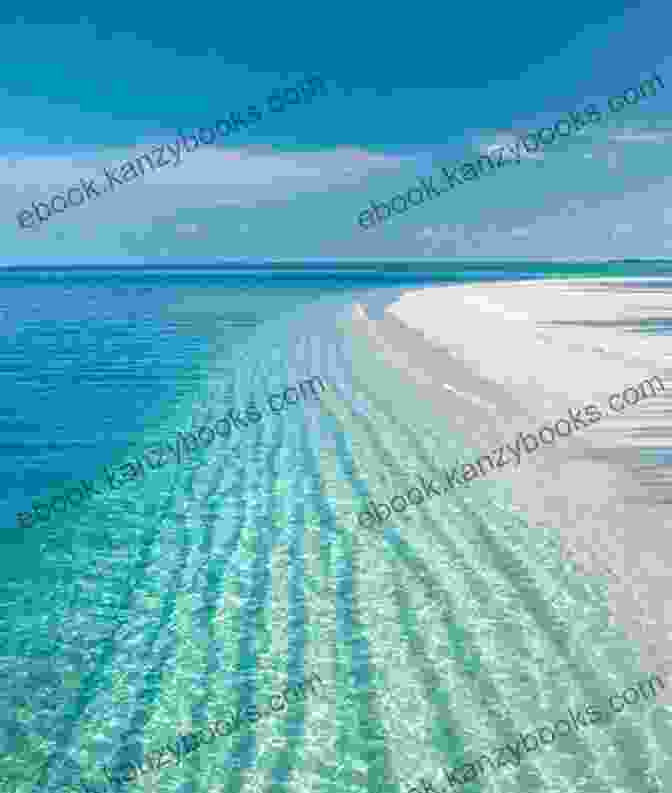 White Sand Beach With Crystal Clear Water Beautiful Beaches A No Text Picture Book: A Calming Gift For Alzheimer Patients And Senior Citizens Living With Dementia (Soothing Picture For The Heart And Soul 47)