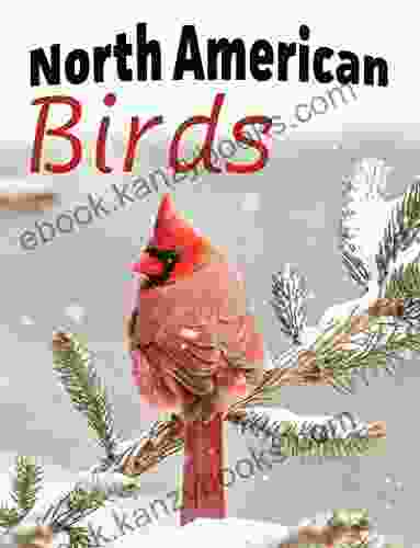 North American Birds: Extra Large Print With Names