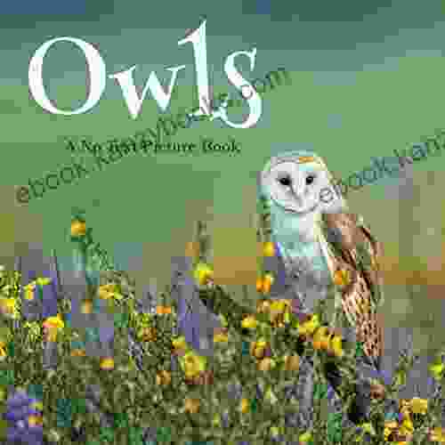 Owls A No Text Picture Book: A Calming Gift For Alzheimer Patients And Senior Citizens Living With Dementia (Soothing Picture For The Heart And Soul 21)