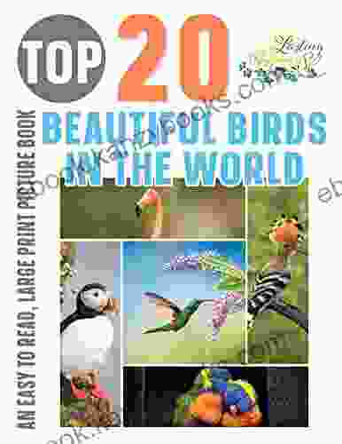 Top 20 Beautiful Birds In The World: An Easy To Read Large Print Picture For Adults And Seniors Living With Dementia And Other Life Challenges