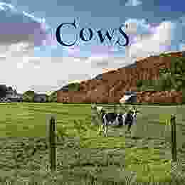 Cows A No Text Picture Book: A Calming Gift For Alzheimer Patients And Senior Citizens Living With Dementia (Soothing Picture For The Heart And Soul 71)