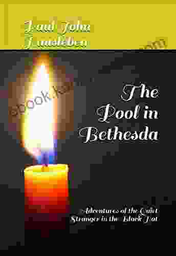 The Pool In Bethesda: Adventures Of The Quiet Stranger In The Black Hat (The Quiet Stranger In The Black Hat 3)