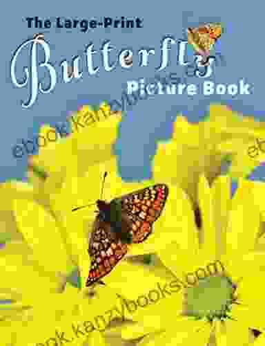 The Large Print Butterfly Picture