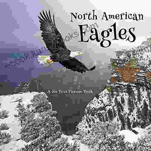 North American Eagles A No Text Picture Book: A Calming Gift For Alzheimer Patients And Senior Citizens Living With Dementia (Soothing Picture For The Heart And Soul 40)