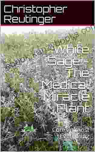 White Sage The Medical Miracle Plant: Cures Almost Everything